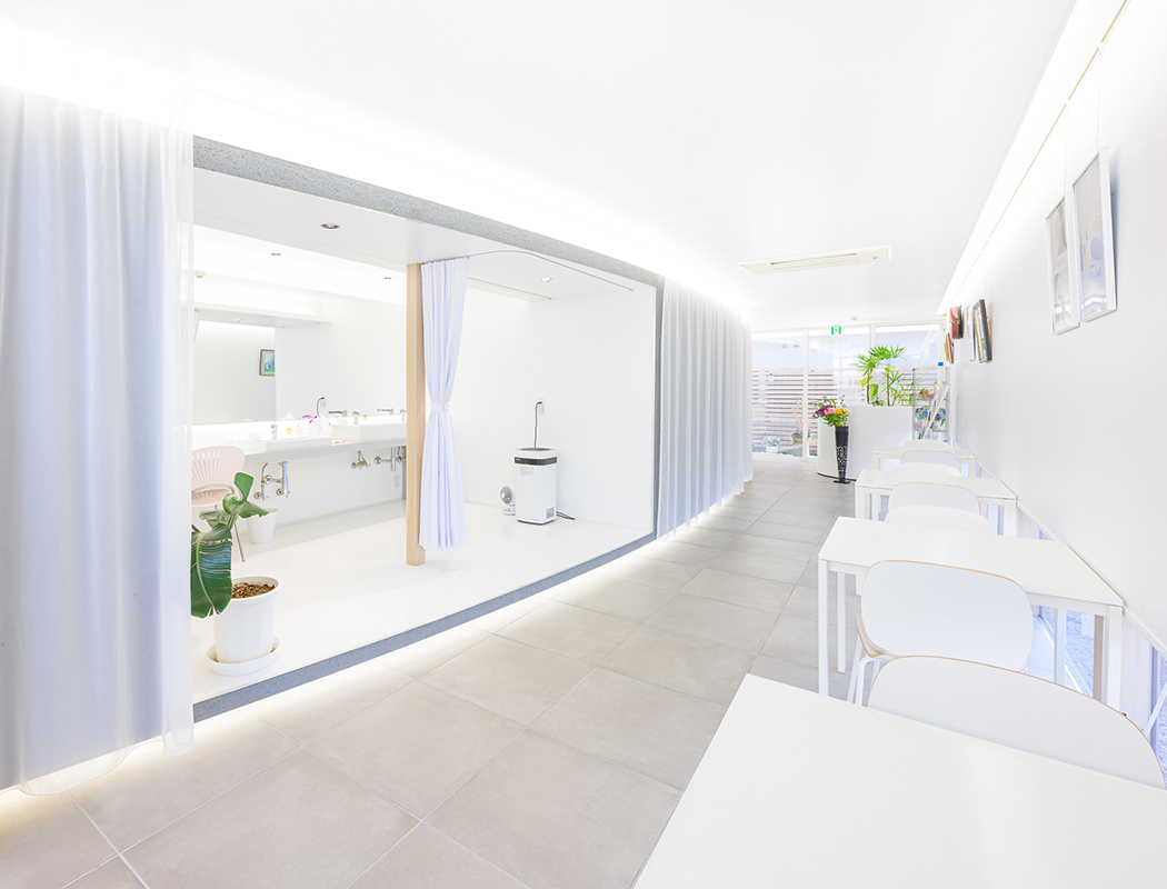 Moisteane　Salon.　Lupinus