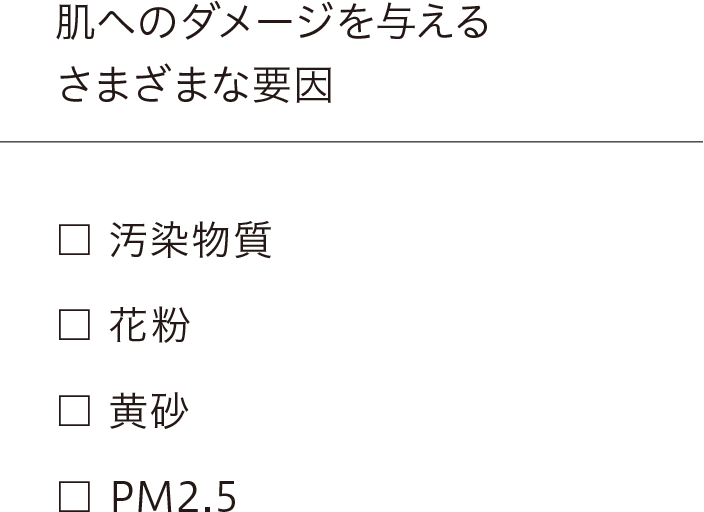 肌へのダメージを与えるさまざまな要因