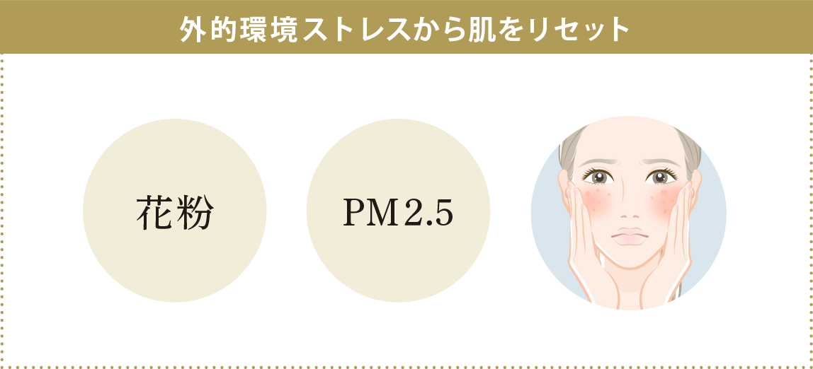 外的環境ストレスから肌をリセット
