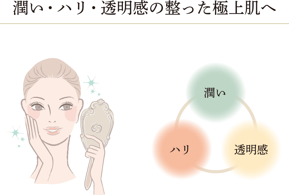 潤い・ハリ・透明感の整った極上肌へ