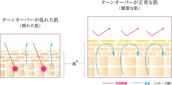 美容/健康 美容機器 スキンコンディショナーについて | Moisteane モイスティーヌ