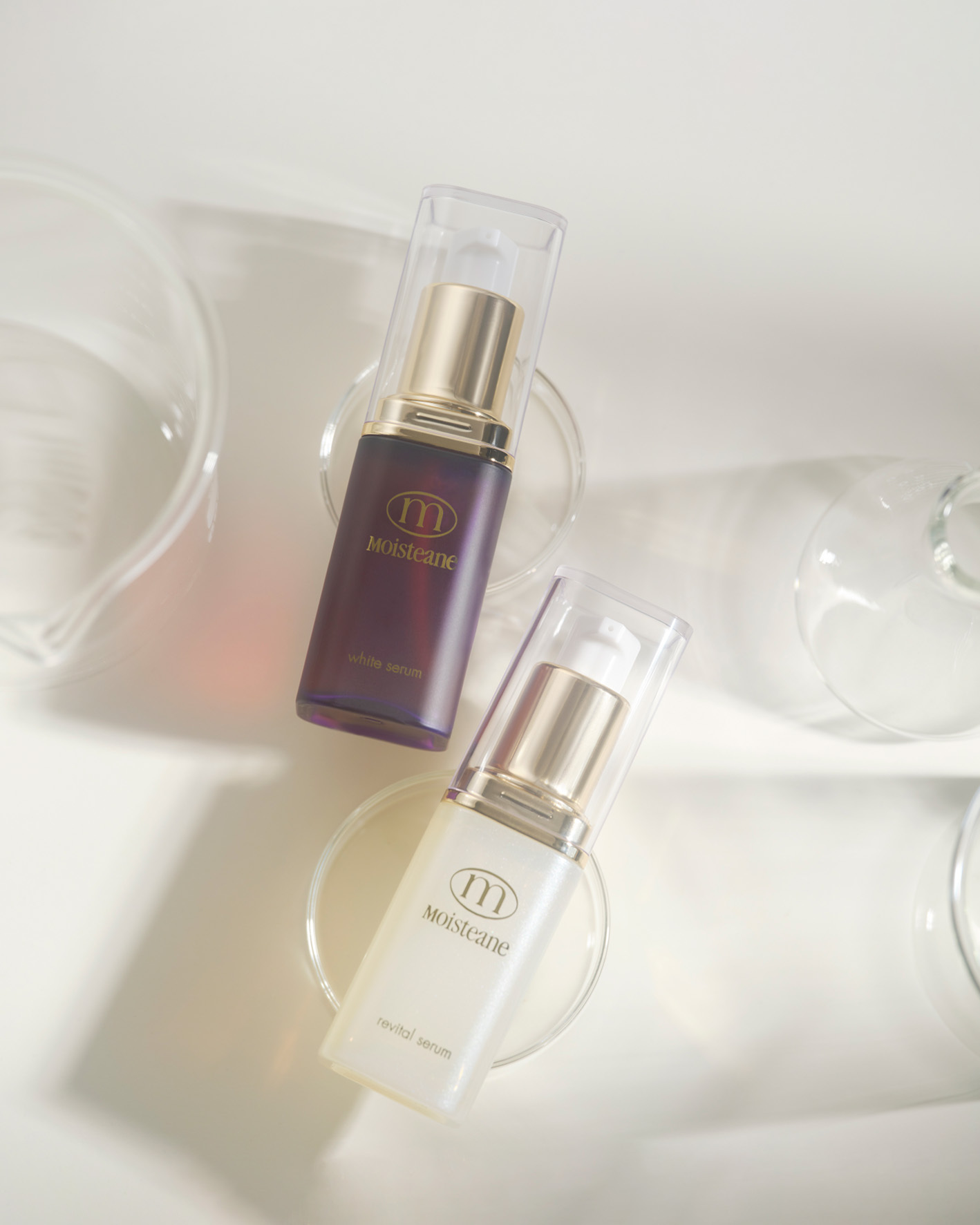 モイスティーヌ美顔器 Moisteane モイスティーヌⅣ｜モイスティーヌ 
